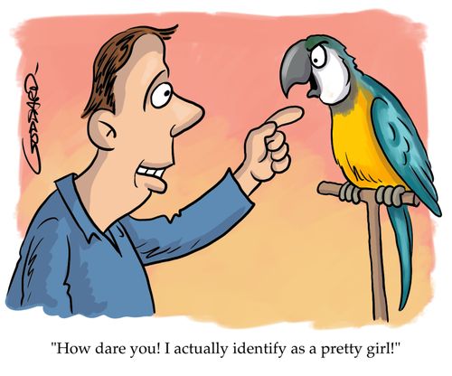 "How dare you! I actually identify as a pretty girl!"