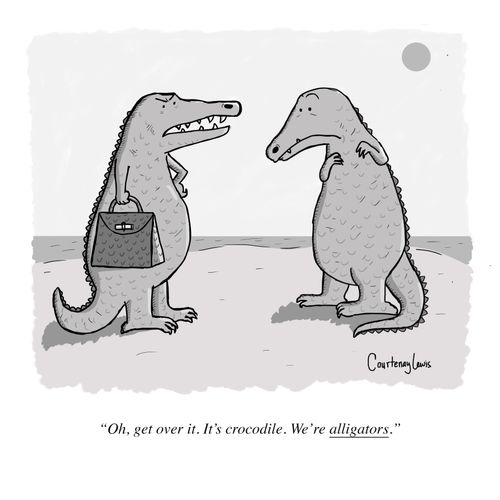 "Oh get over it. It's crocodile. We're alligators."