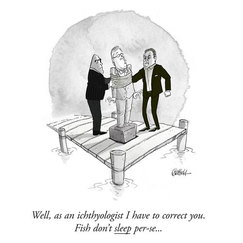 "Well, as an ichthyologist I have to correct you. Fish don't sleep per-se. . ."