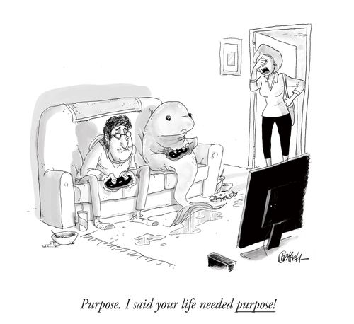"Purpose. I said your life needed purpose!"