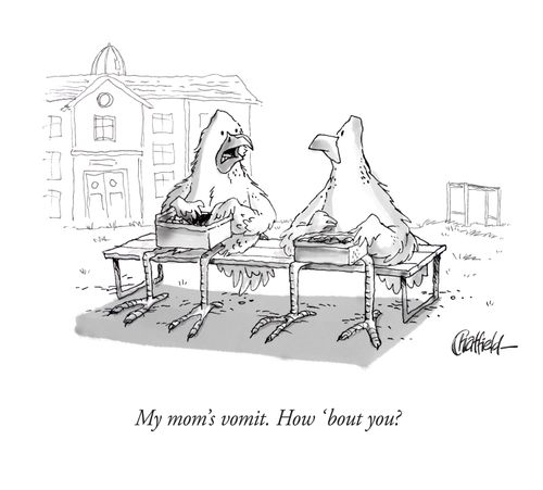 "My mom's vomit. How 'bout you?"