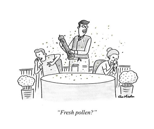 "Fresh pollen?"