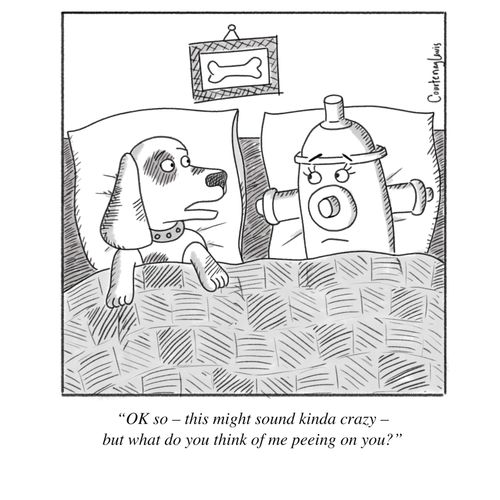 "OK so - this might sound kinda crazy - but what do you think of me peeing on you?"
