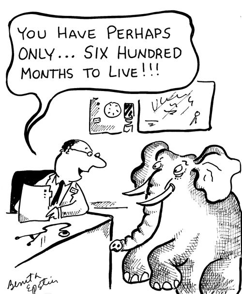 "You have perhaps only. . . six hundred months to live!!!"