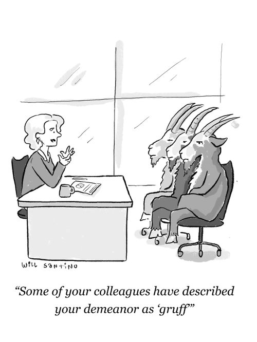 "Some of your colleagues have described your demeanor as 'gruff'."