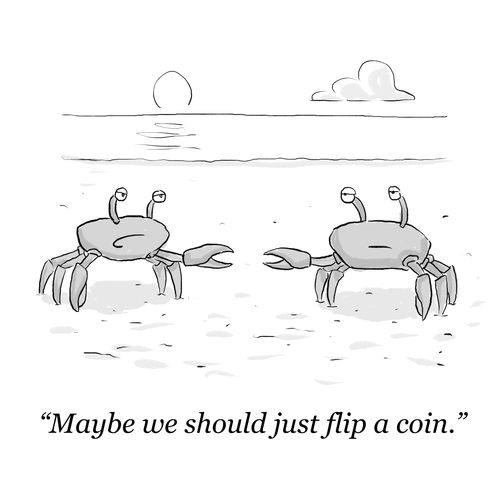 "Maybe we should just flip a coin?"