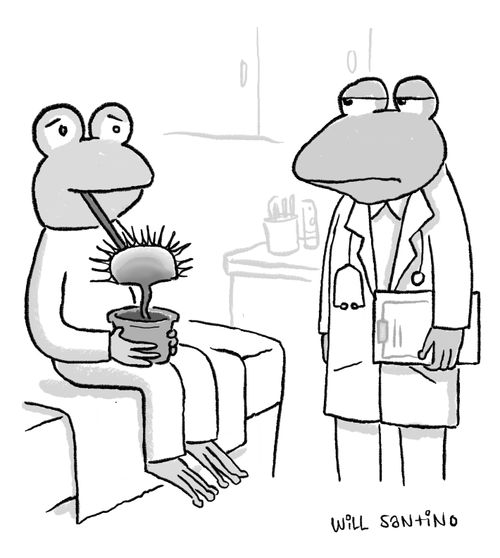 A frog with their tongue trapped in a venus flytrap