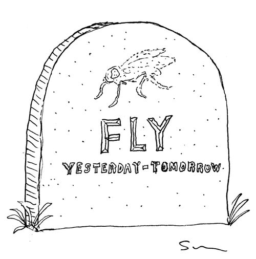 FLY: YESTERDAY - TOMORROW