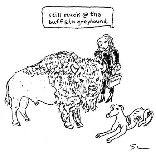 "Still stuck @ the buffalo greyhound" 