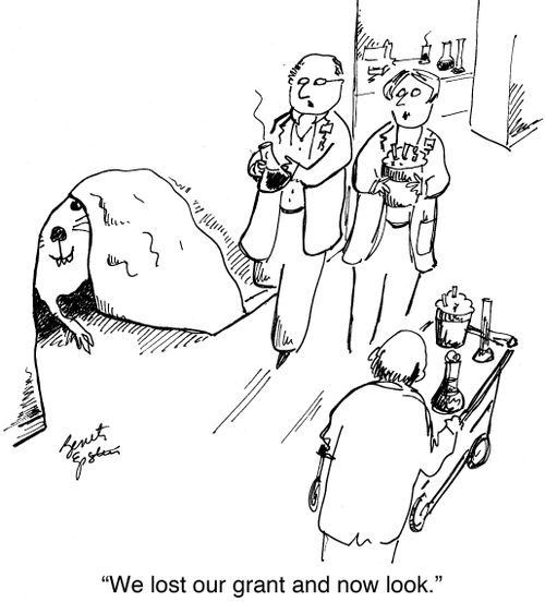 "We lost our grant and now look."
