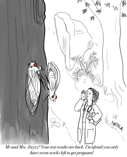 "Mr and Mrs. Znyzz? Your test results are back. I'm afraid you only have seven weeks left to get pregnant!"