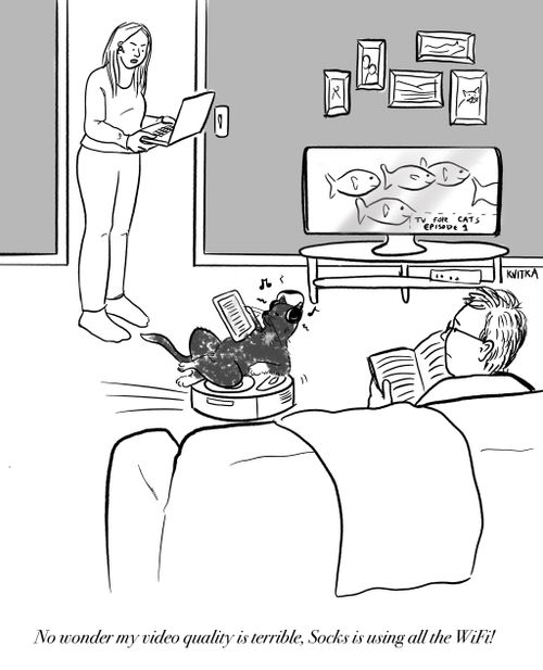 "No wonder my video quality is terrible, Socks is using all the WiFi!"