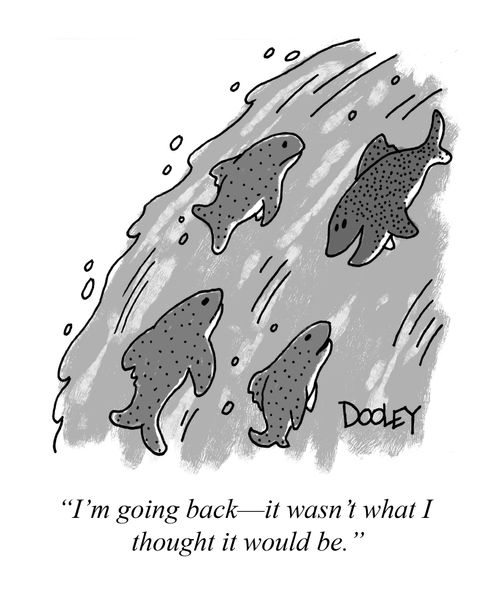 "I'm going back - it wasn't what I thought it would be."