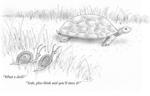 "What a shell!"