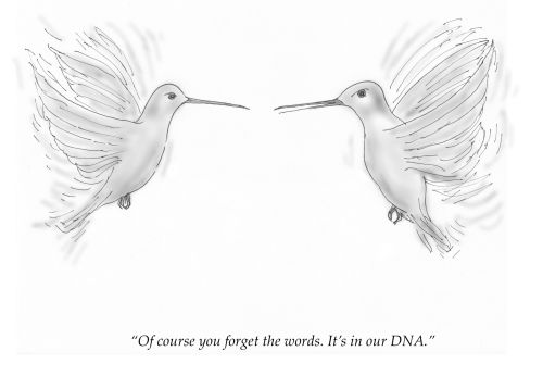"Of course you forgot the words. It's in our DNA."