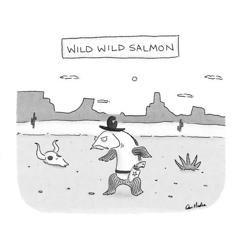 Wild Wild Salmon