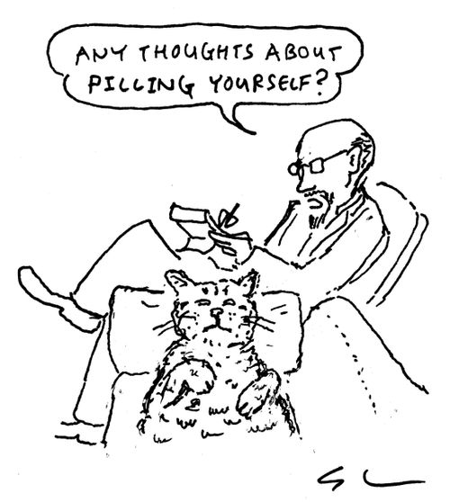 "Any thoughts about pilling yourself?"