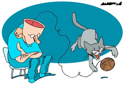 Cat playing with a Brain