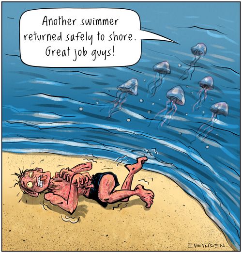 "Another swimmer returned safely to shore. Great job guys!"