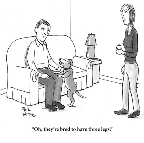  "Oh they're bred to have three legs."