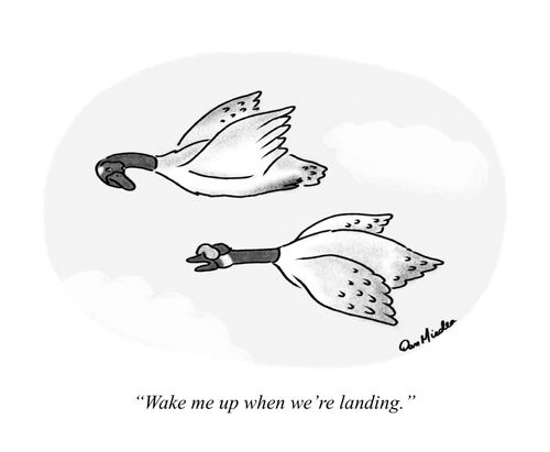 "Wake me up when we're landing."