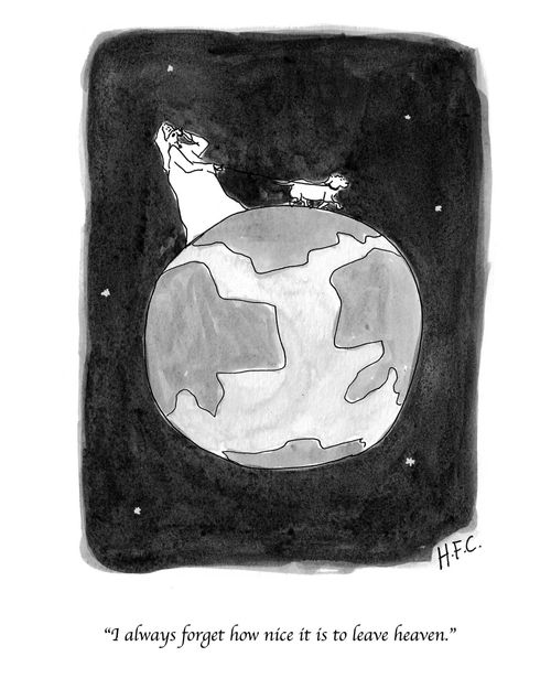 "I always forget how nice it is to leave heaven."