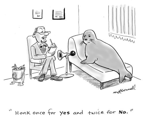 "Honk once for yes and twice for no."