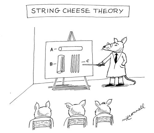 String Cheese Theory