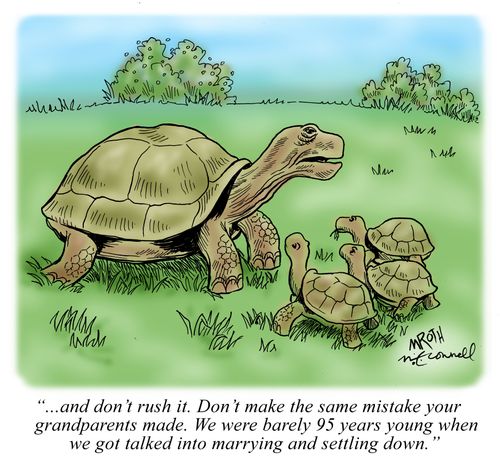 ". . . and don't rush it. Don't make the same mistake your grandparents made. We were barely 95 years young when we got talked into marrying and settling down."