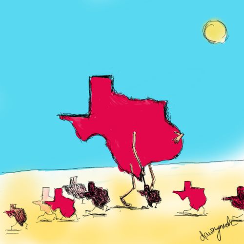 A pregnant Texas with many small children