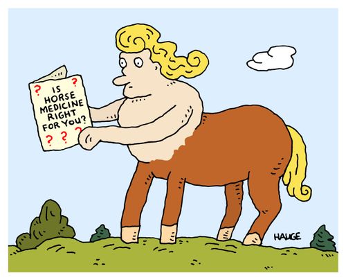 Is Horse Medicine Right For You?