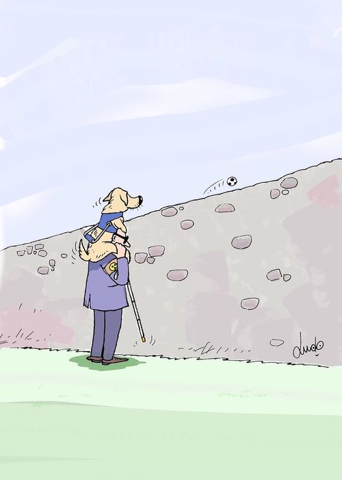 Guide dog looks at ball that has gone over wall.