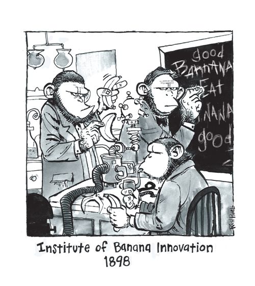 Institute of Banana Innovation 1898