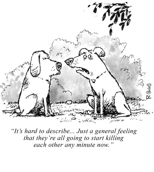 "It's hard to describe... Just a general feeling that they're all going to start killing each other any minute now."