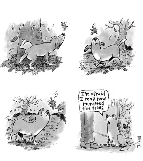 "I'm afraid I may have murdered the trees."