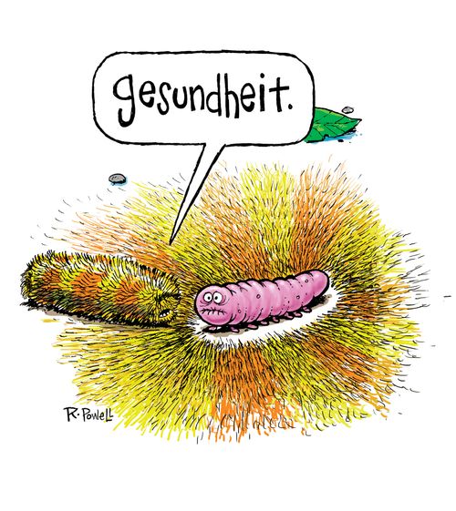 "Gesundheit!"