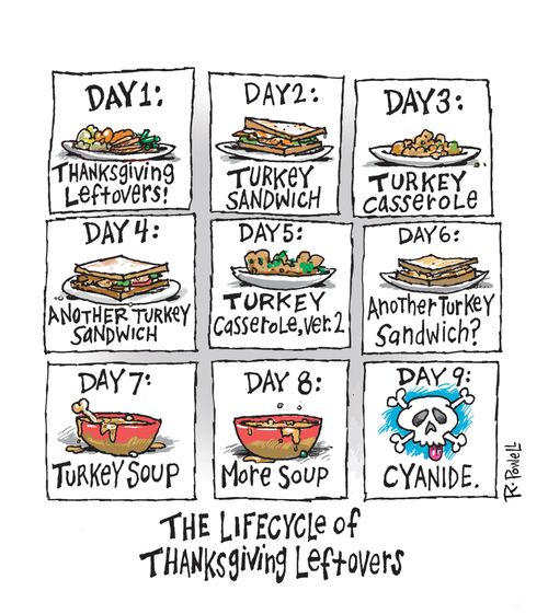 The lifecycle of thanksgiving leftovers