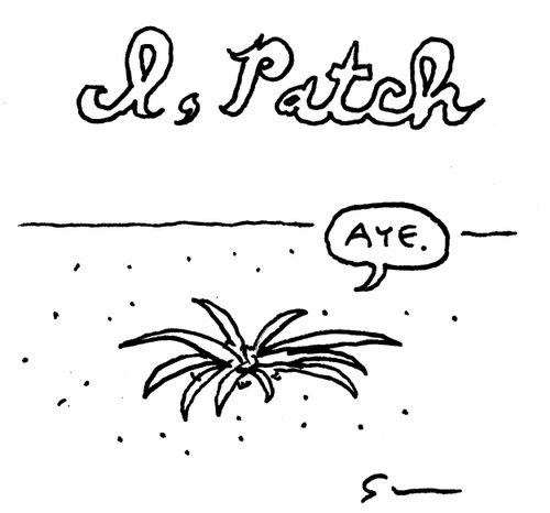 I, Patch