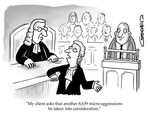 "My client asks that another 8,639 micro-aggressions be taken into consideration."