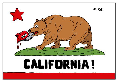 California and MAGA