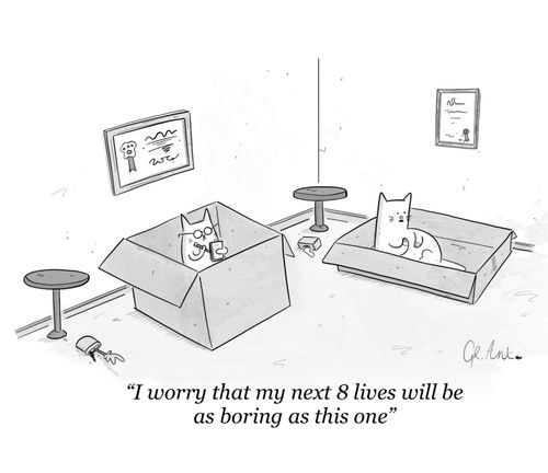 "I worry that my next 8 lives will be as boring as this one."