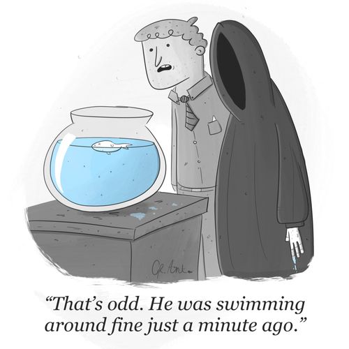 "That's odd. He was swimming around fine just a minute ago."
