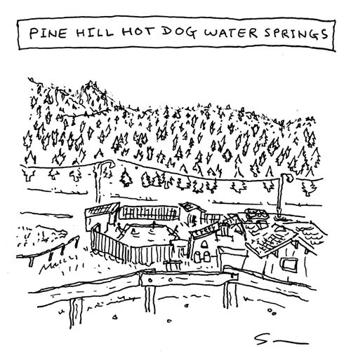 Pine Hill Hot Dog Water Springs