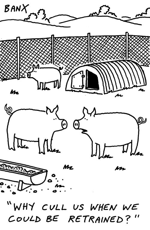 "Why cull us when we could be retrained?"