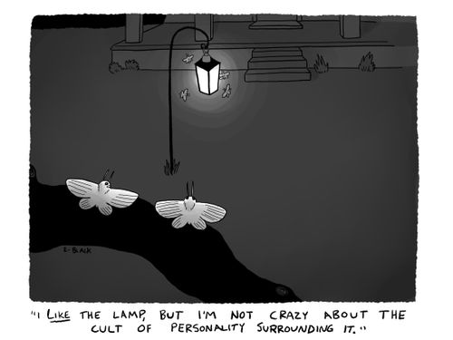 "I like the lamp, but I'm not crazy about the cult of personality surrounding it."