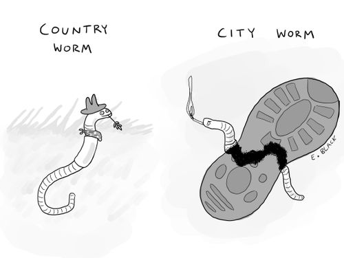 Country worm. City Worm
