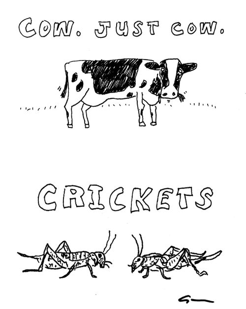 Cow. Just Cow. . . Crickets.
