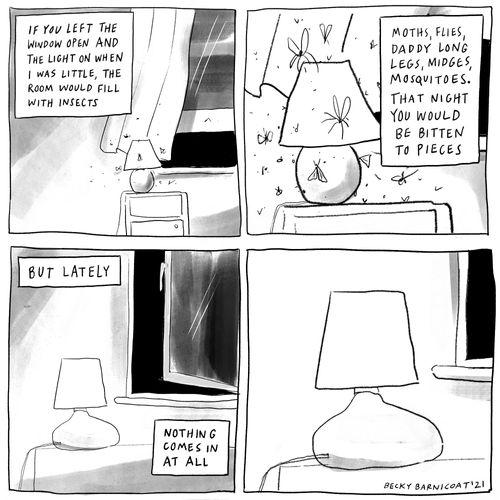 If you left the window open and the light on when I was little, the room would fill with insects...