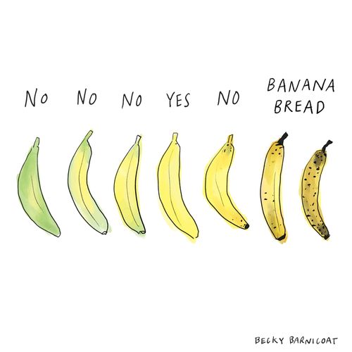 No, No, No, Yes, No, Banana Bread.
