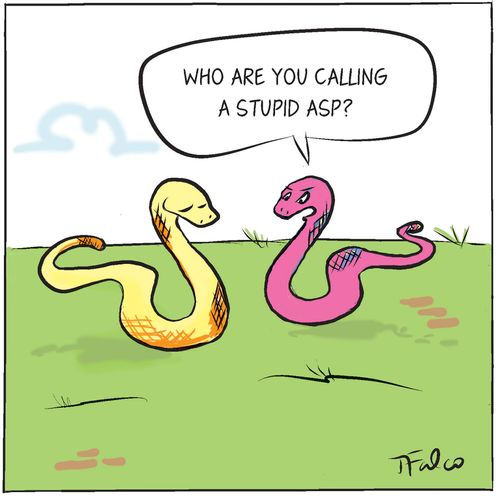 "Who are you calling a stupid asp?"